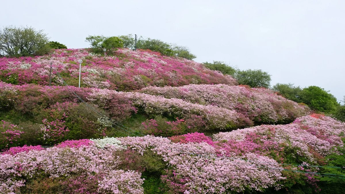 Tomisuyama Park
