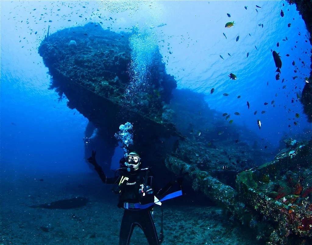Japanese Ship Wreck Point