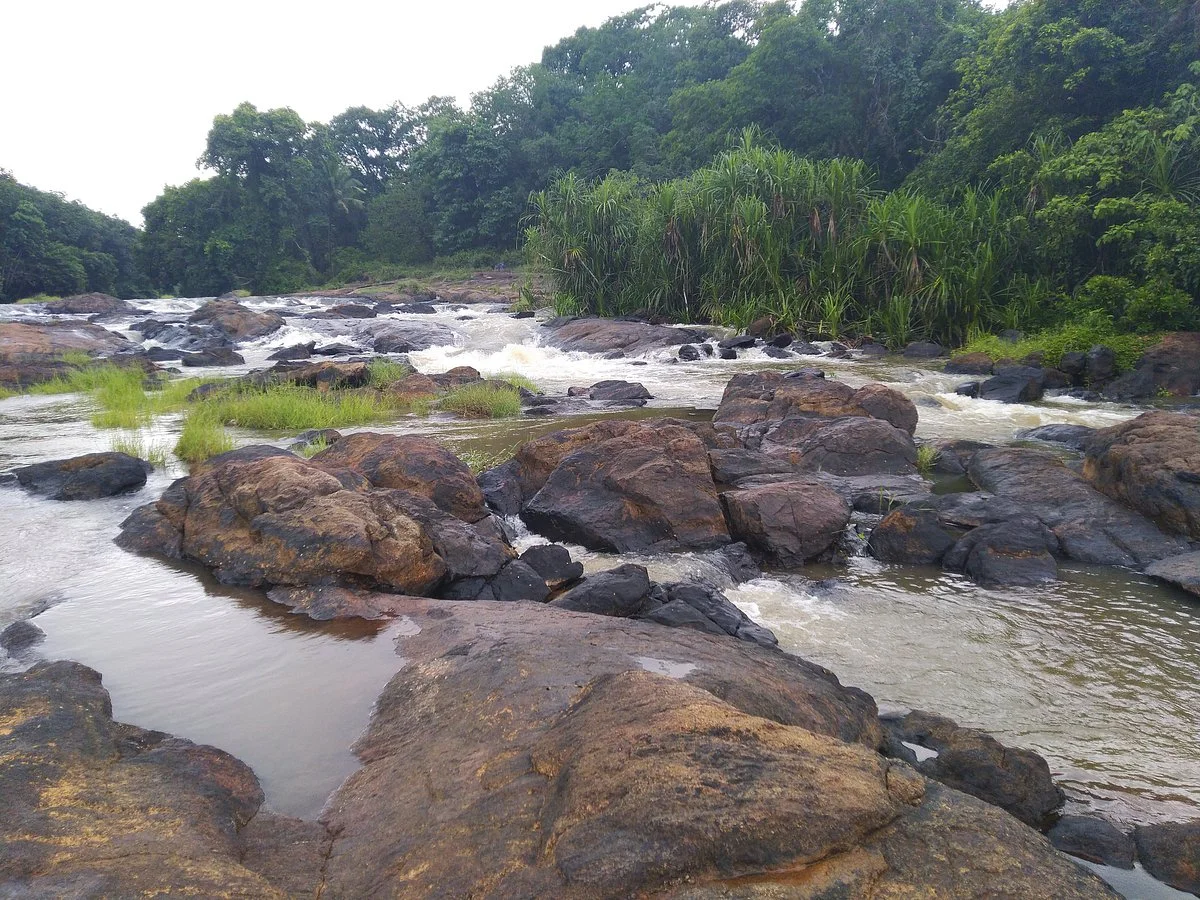 Vattathil Water Falls