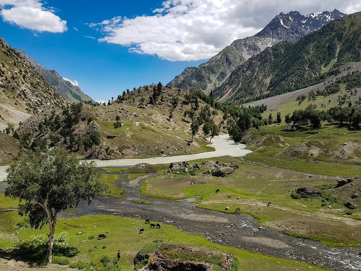 Naltar Valley