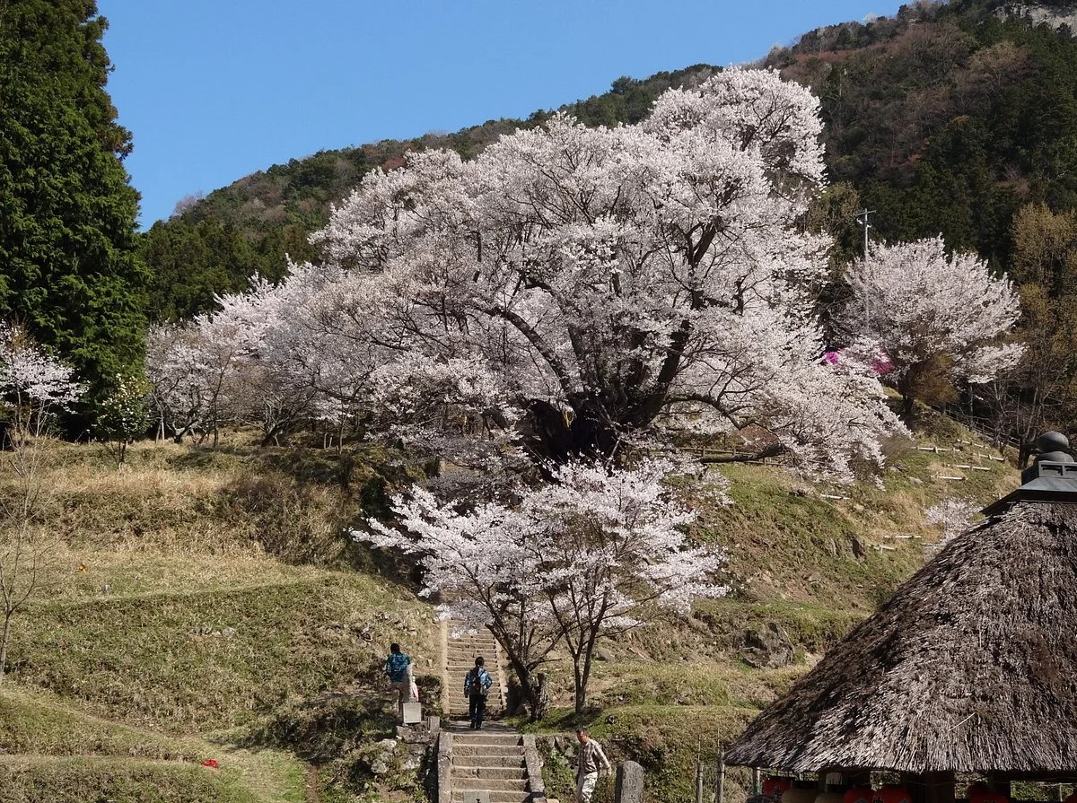 Butsuryuji Temple