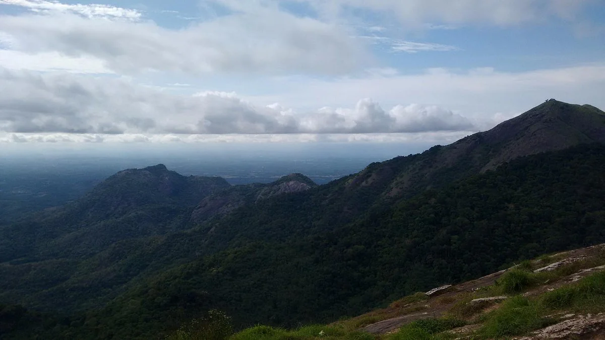 Nelliyampathy Guha