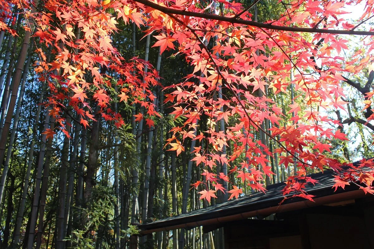 Shokado Garden Art Museum