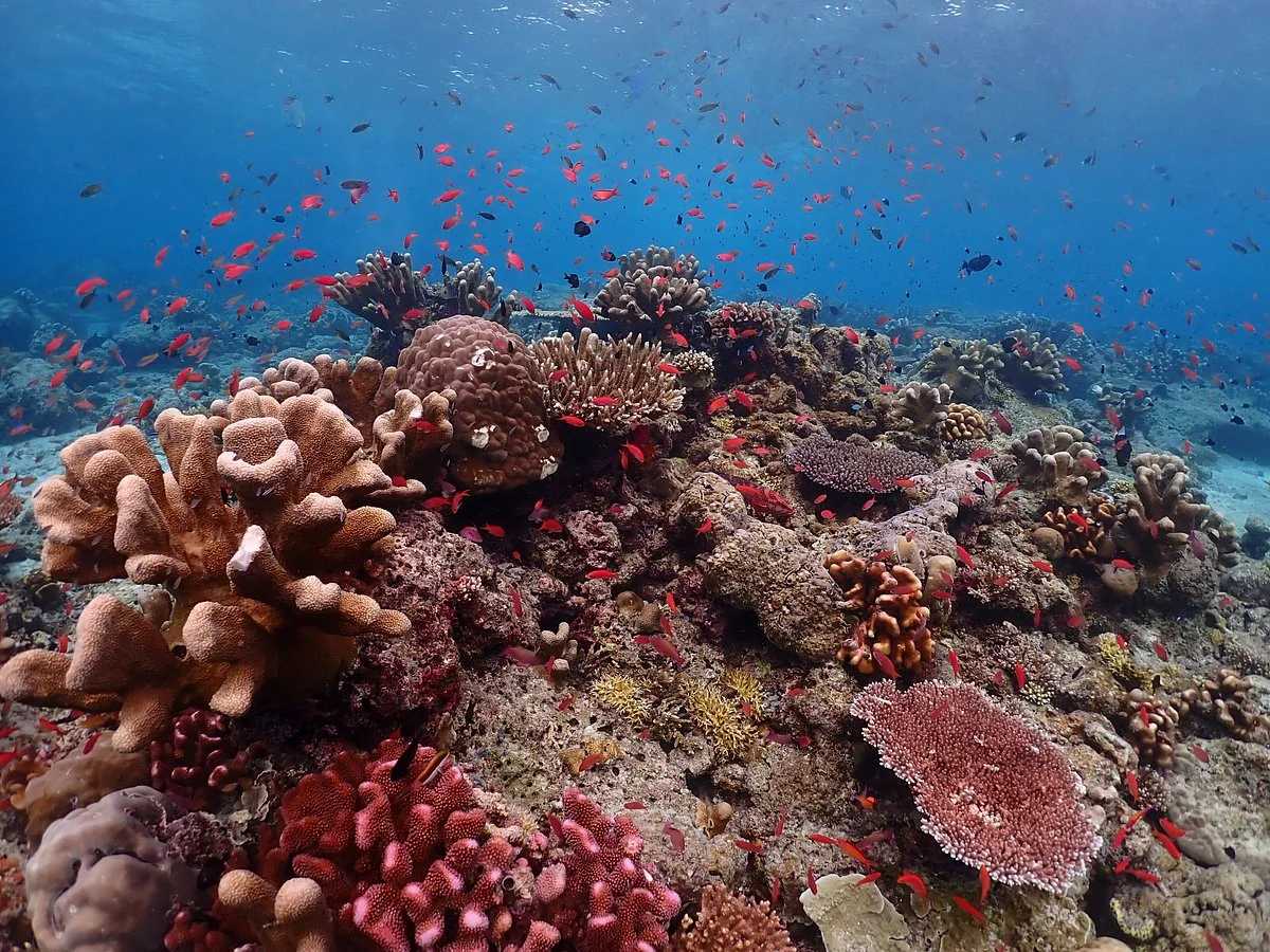 Sipadan National Park