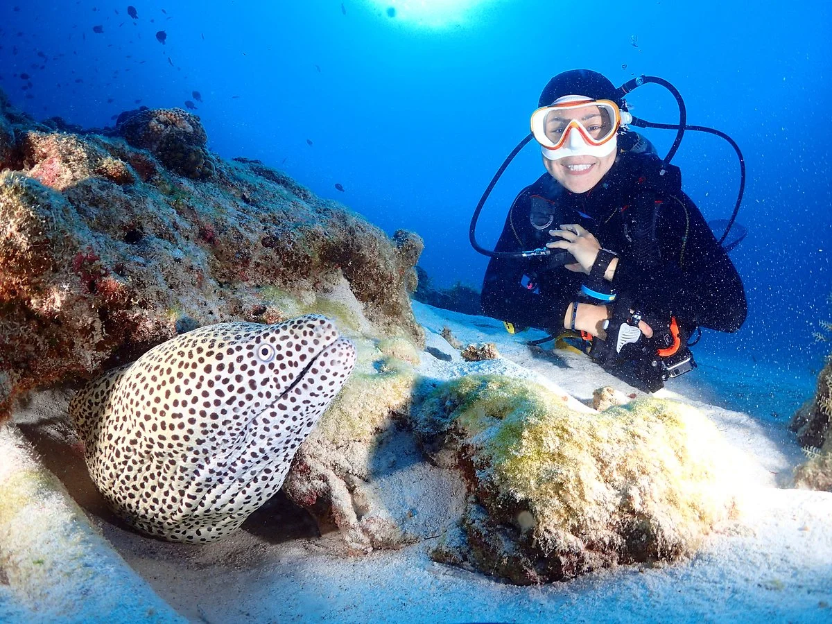 Aloha Divers Okinawa