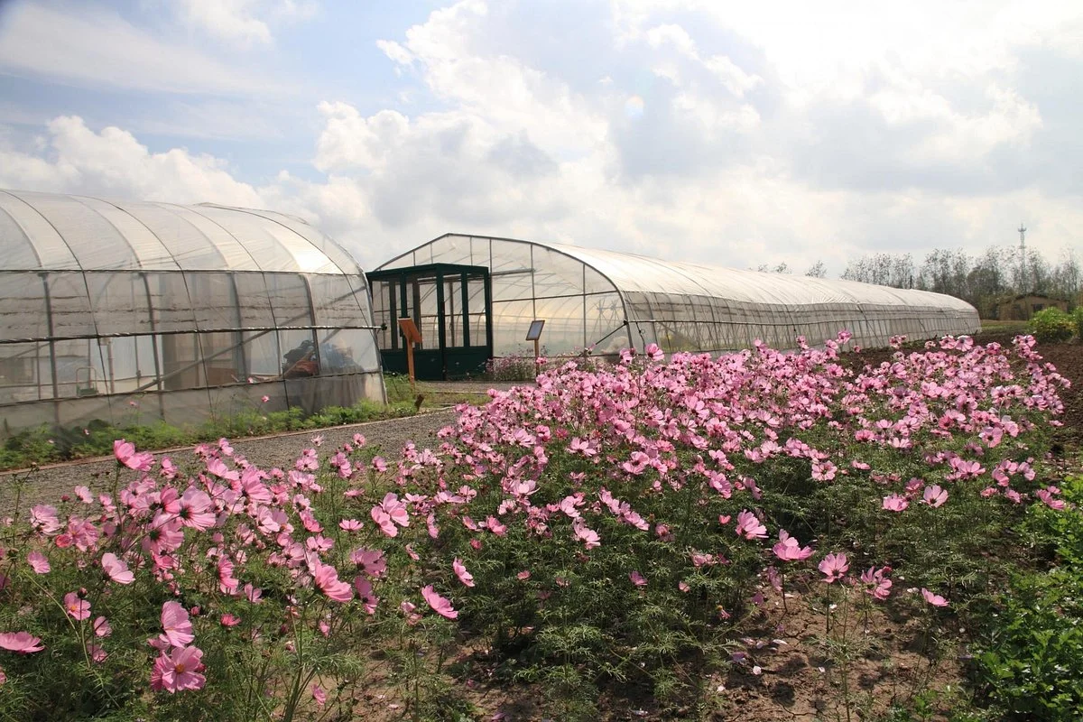 Mahota Farm