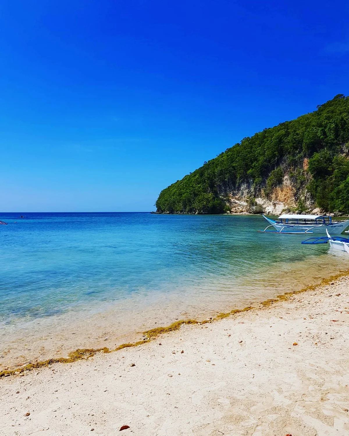 Boquete Island