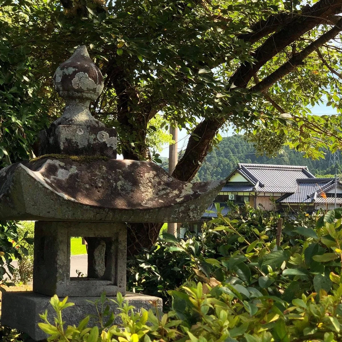 Honjo no Okusu