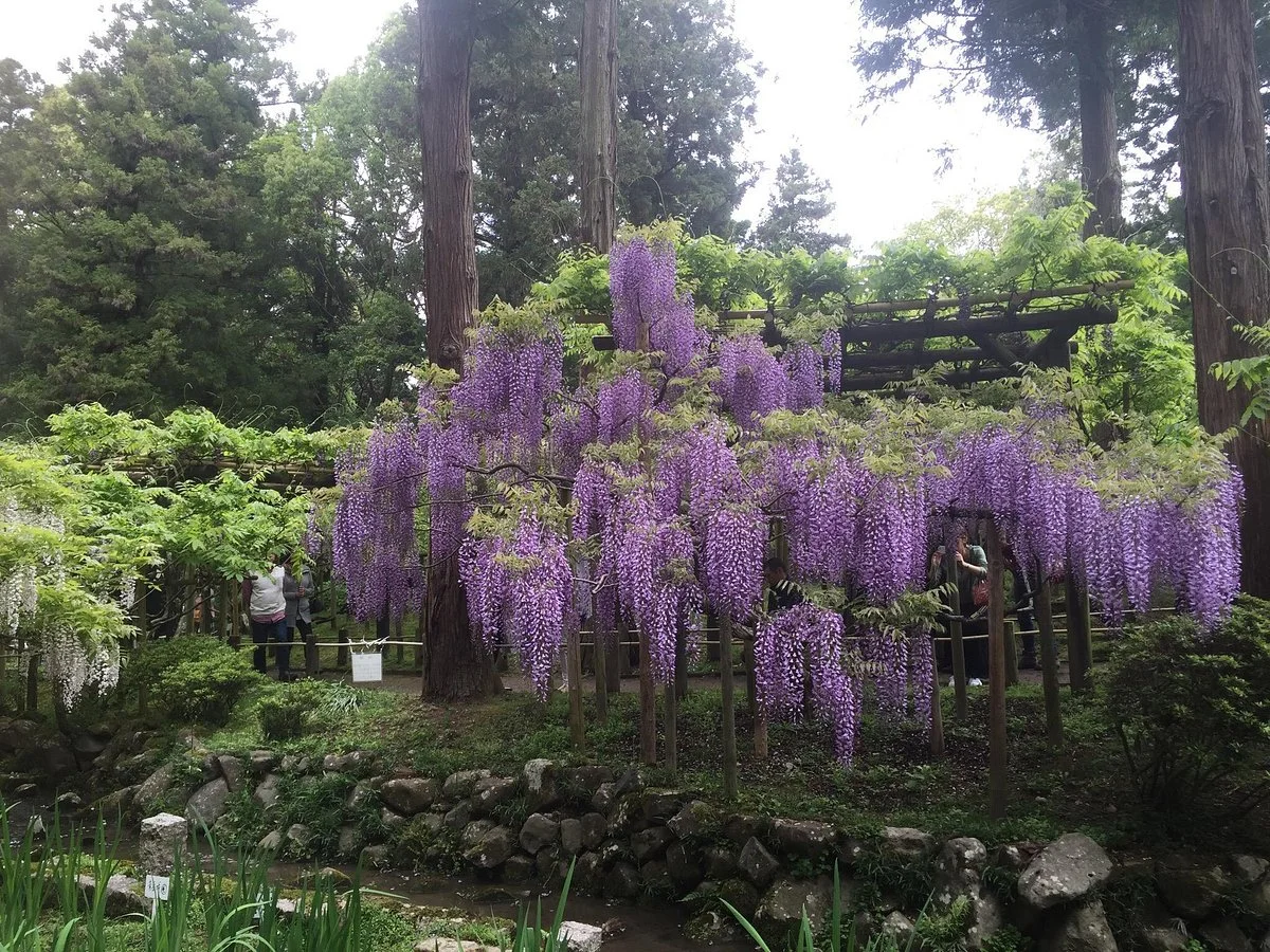 Manyo Botanical Garden
