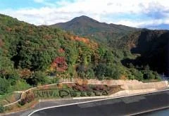 Daimon Dam