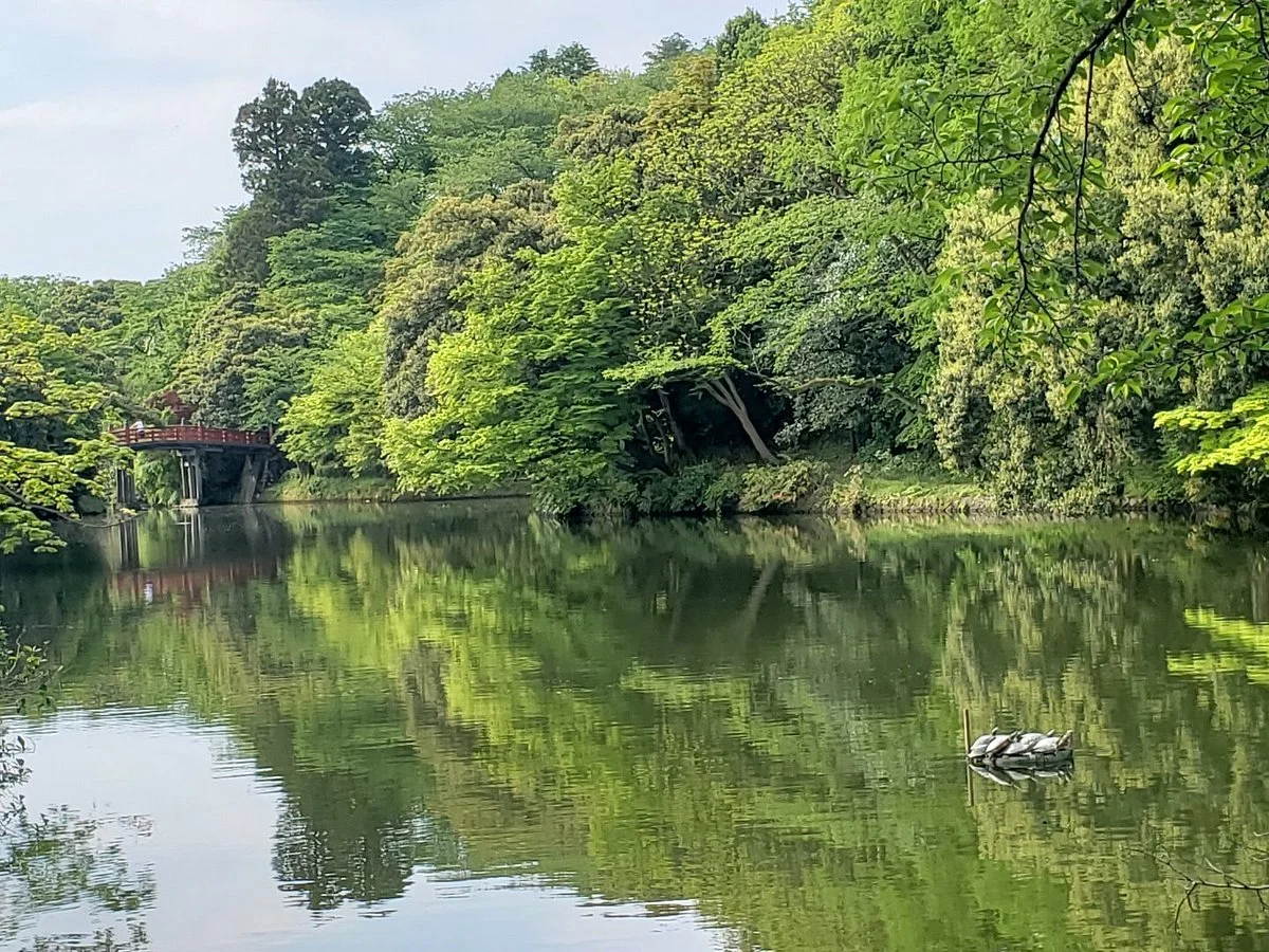 Takaoka Kojo Park