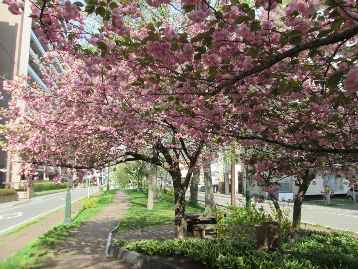 Mini Odori Park