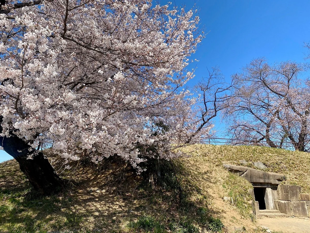 Jaketsuzan Ancient Tomb