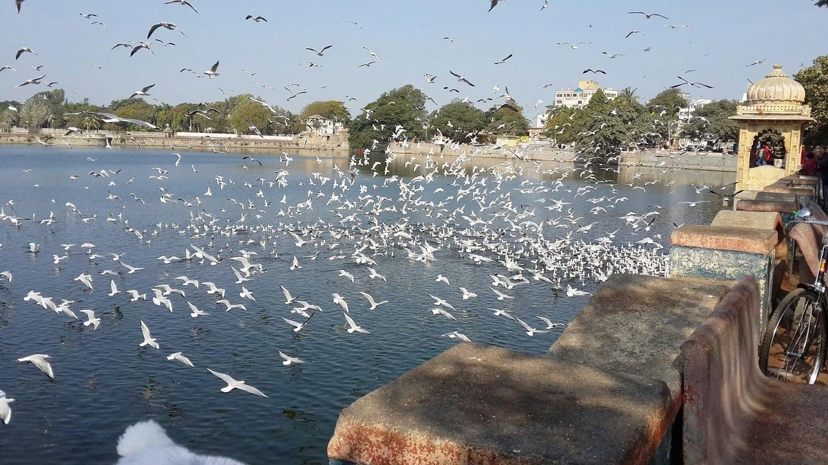 Bhujiyo Kotho