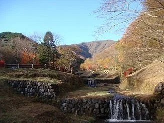 Osaru Park