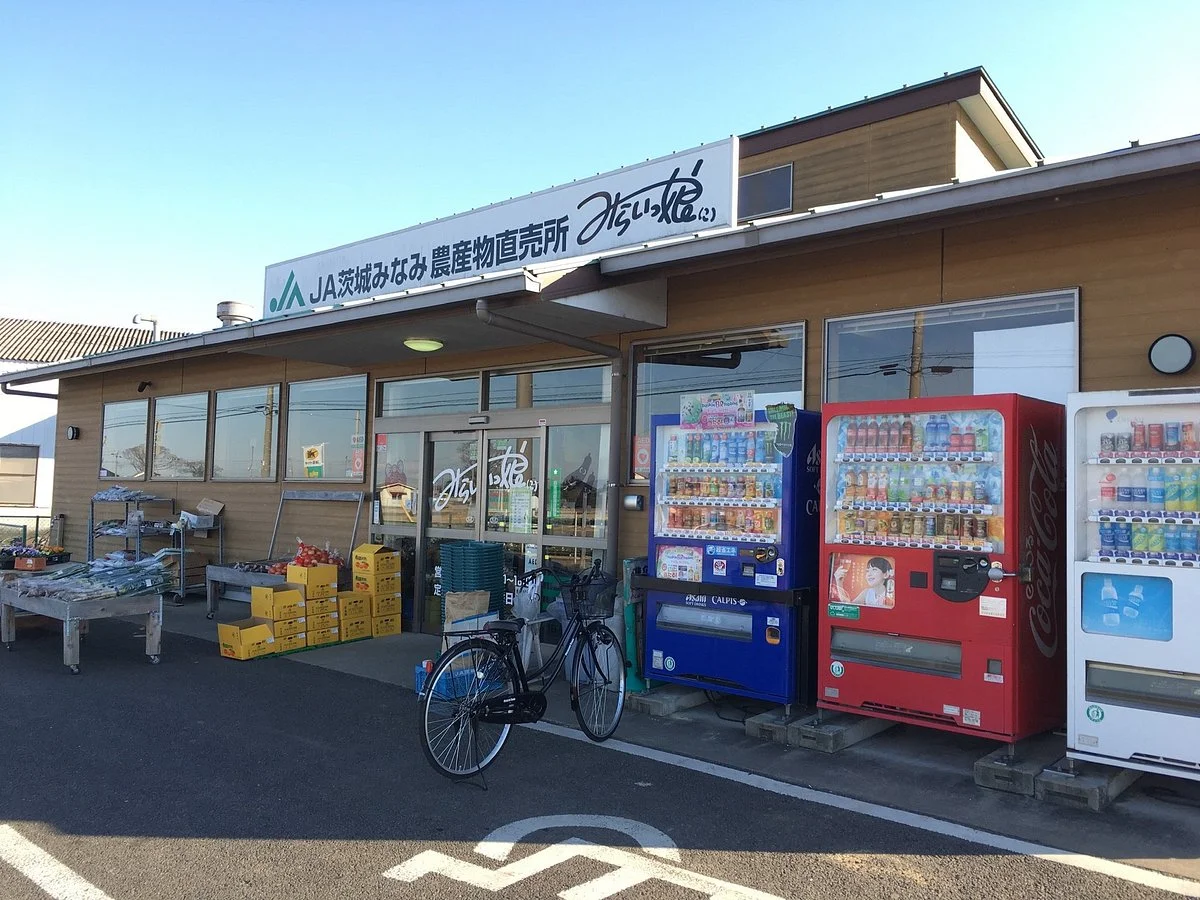 Miraikko