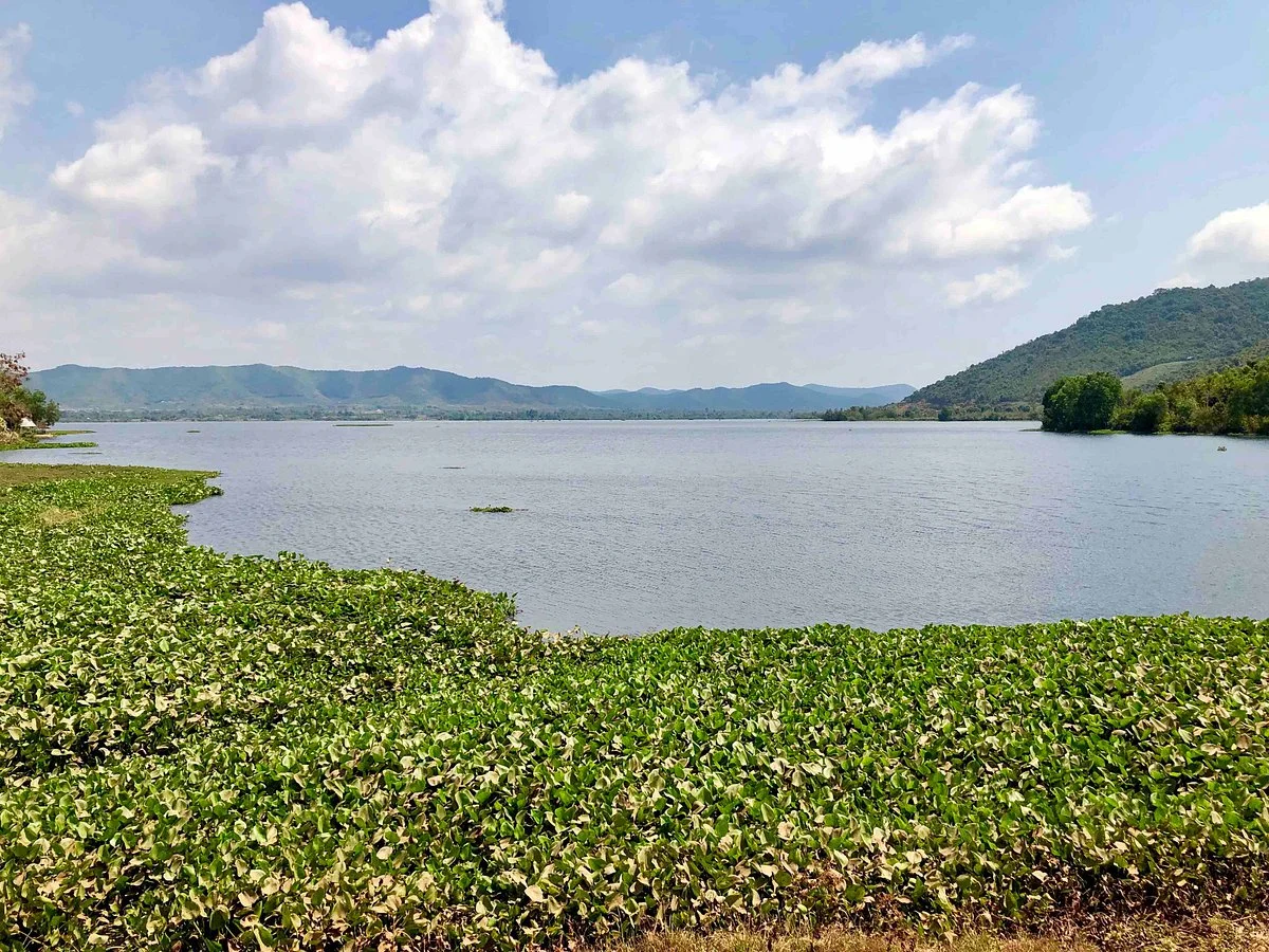 Brateak Krola Lake