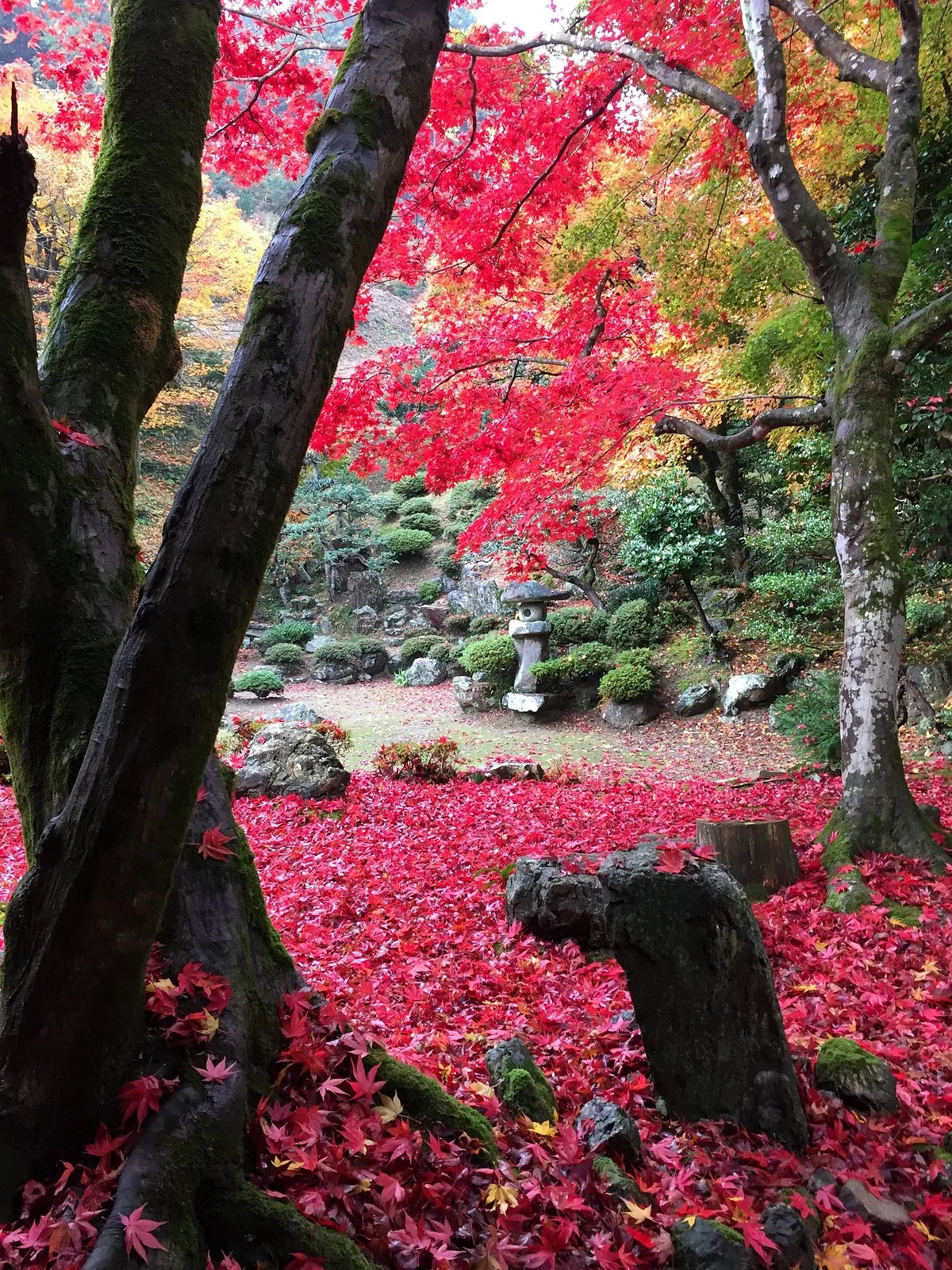Tokugenin Temple