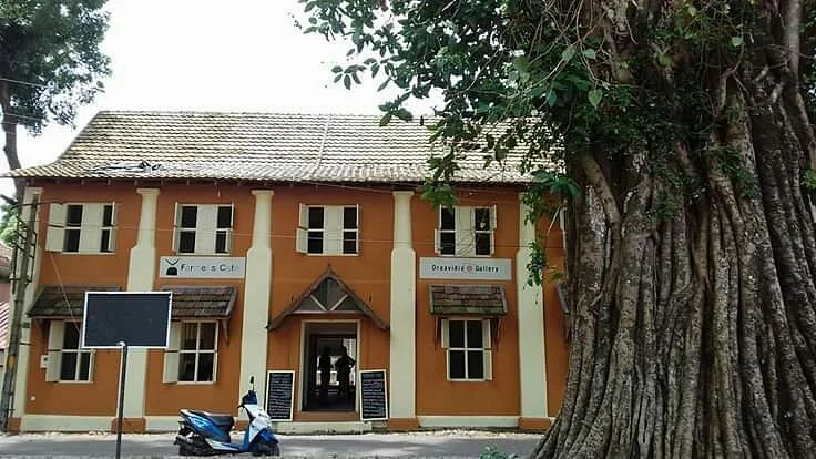 Draavidia Gallery