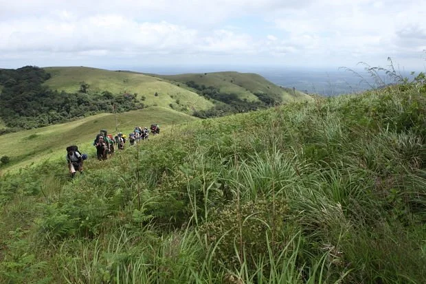 Mathikettan Shola National Park