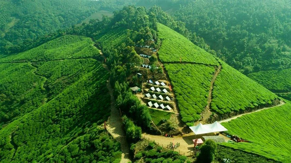 Tea Town Kerala - Munnar