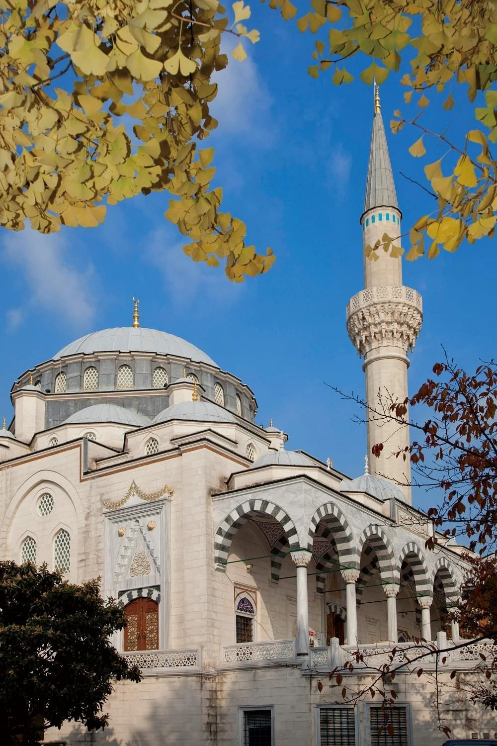 Tokyo Camii & Turkish Culture Center