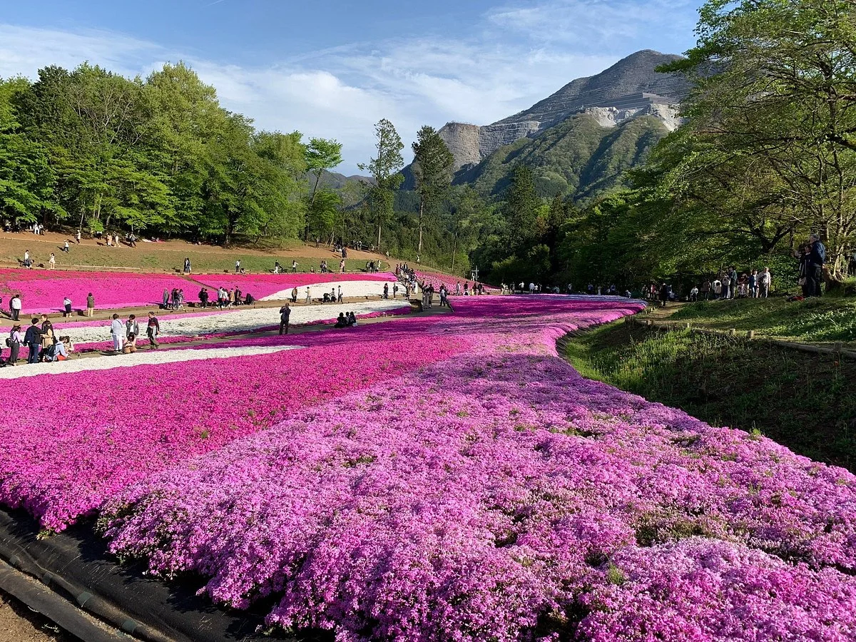 Hitsujiyama Park