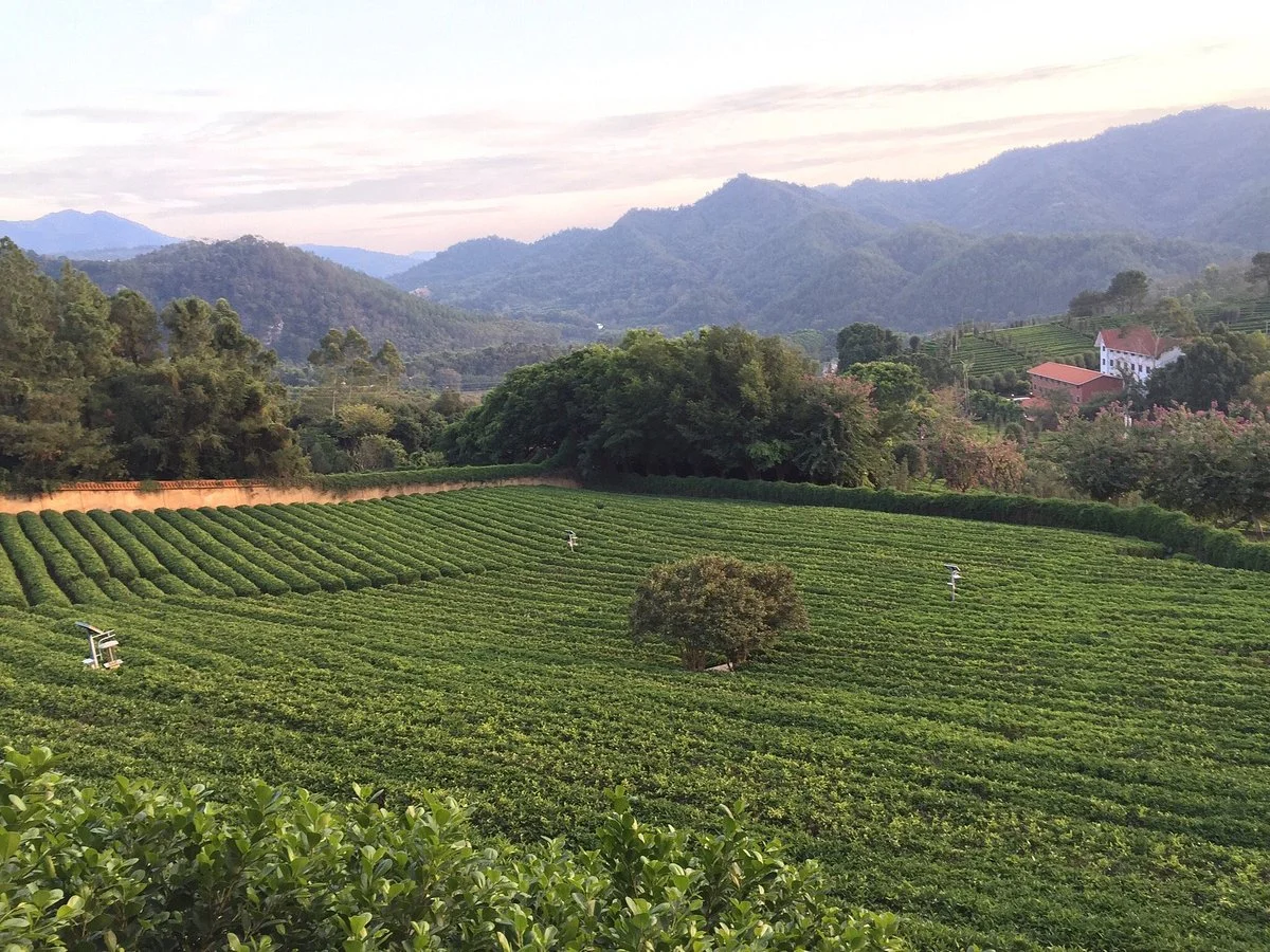 Meizhou Yannanfei Chatian Vacation Village