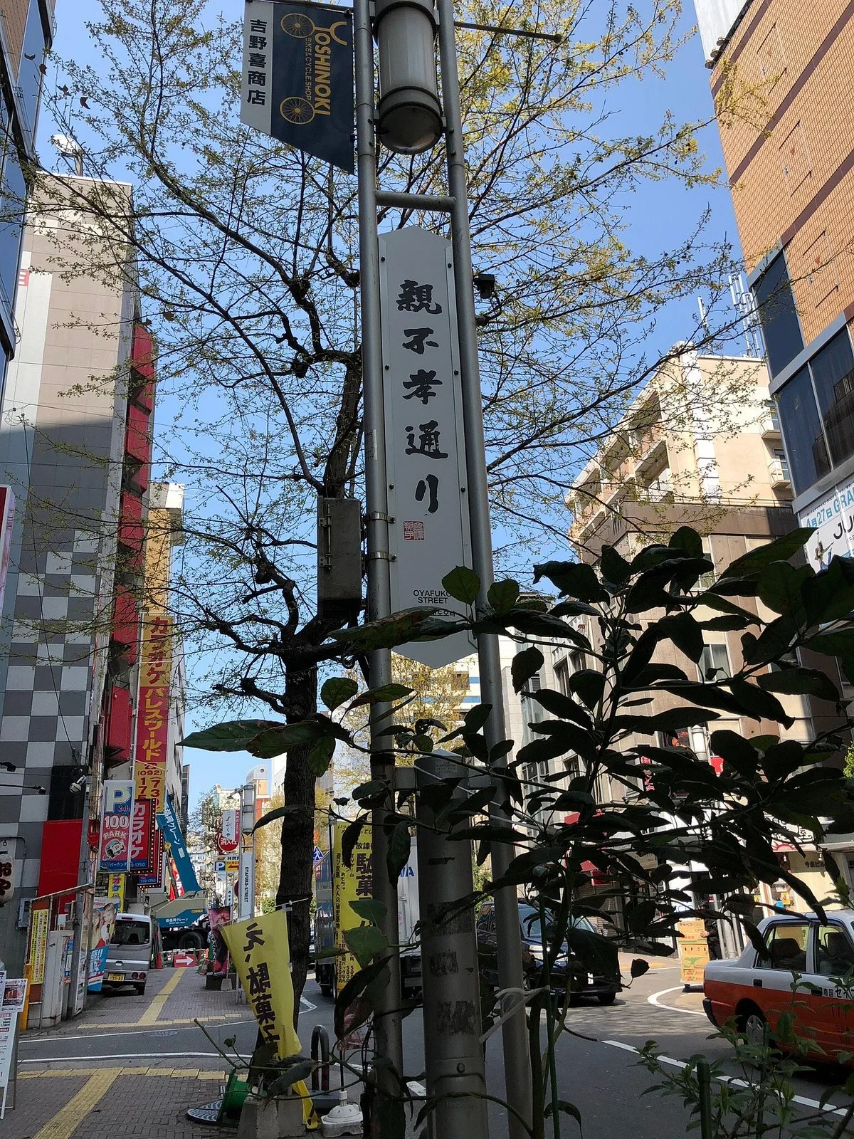 Oyafukodori