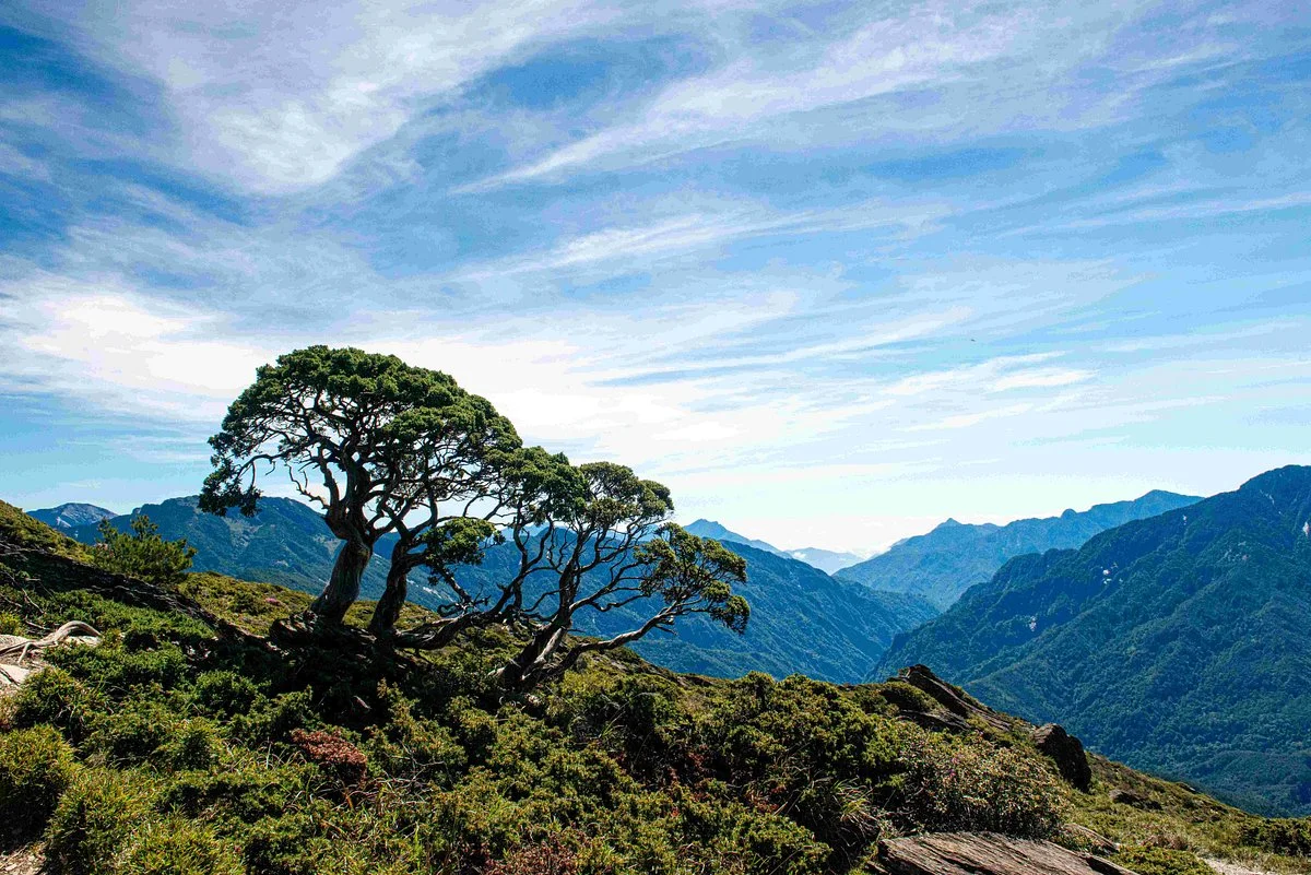 Hehuanshan North Peak Trail