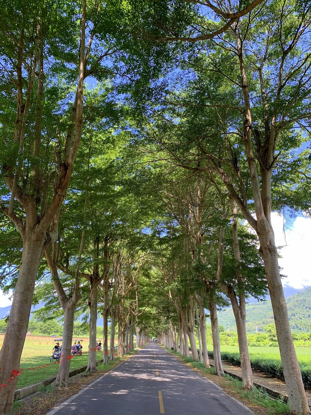 Luye Longtian Bikeway District