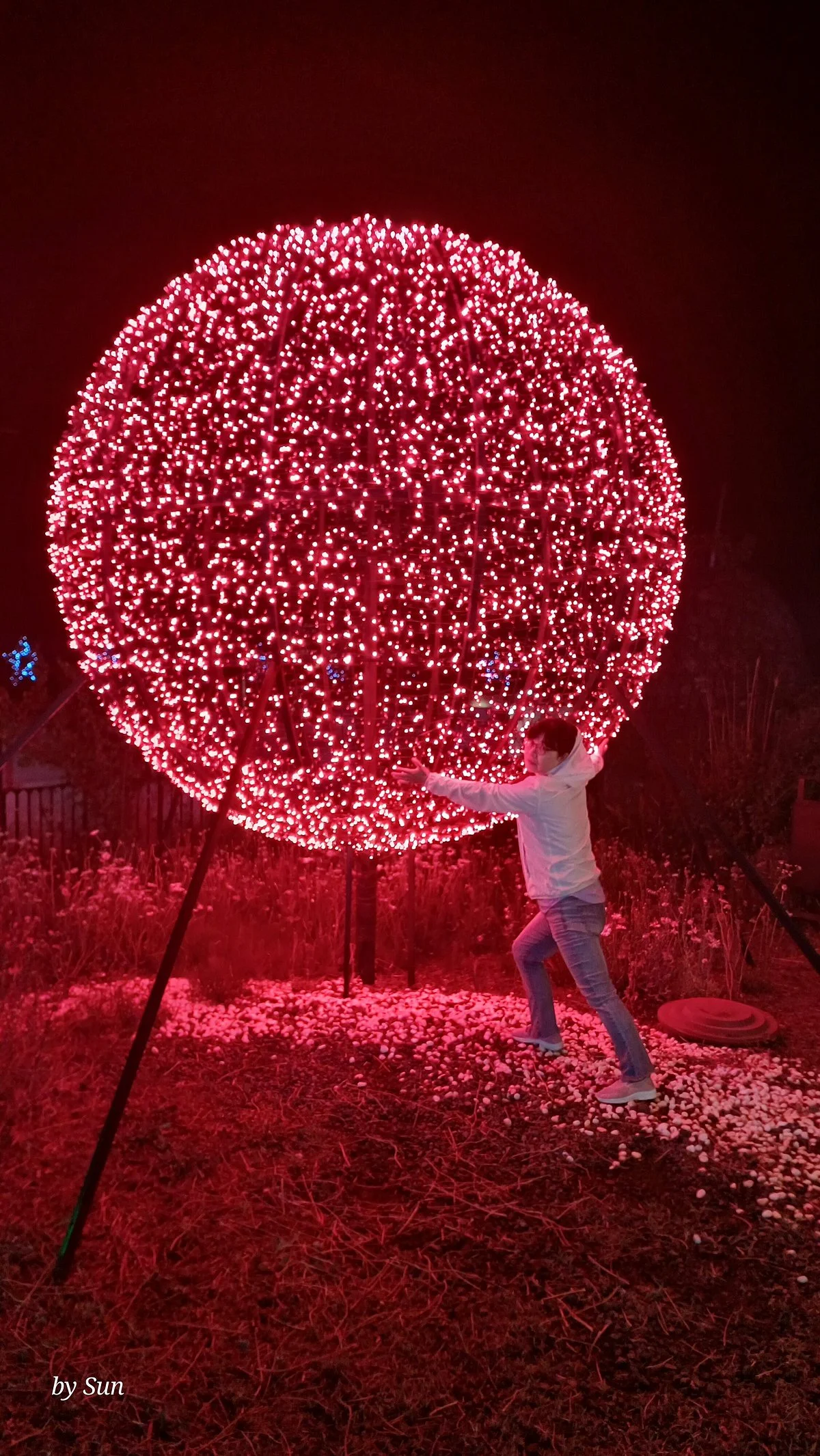 Jeju Light Garden