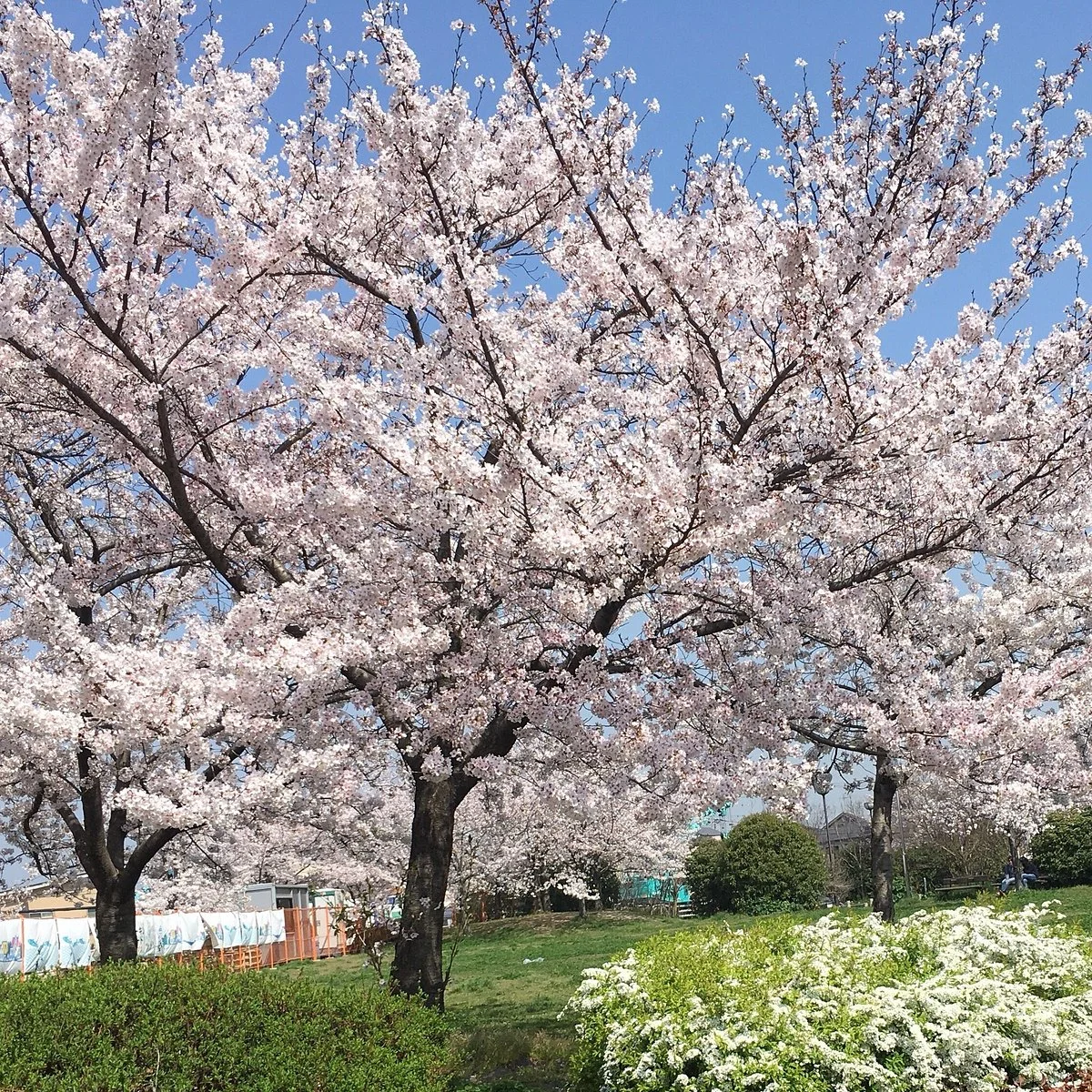 Ashidagawa Furusato Square