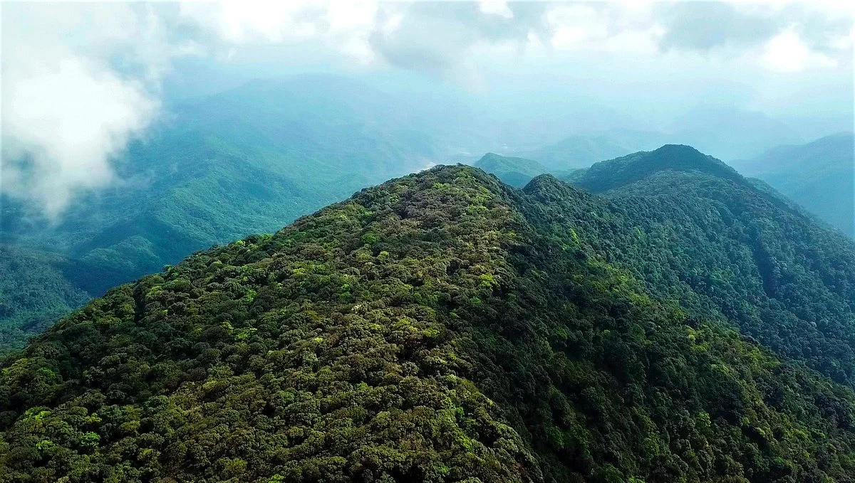 Nam Et-Phou Louey National Park