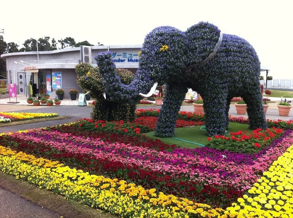 Okinawa Zoo & Museum