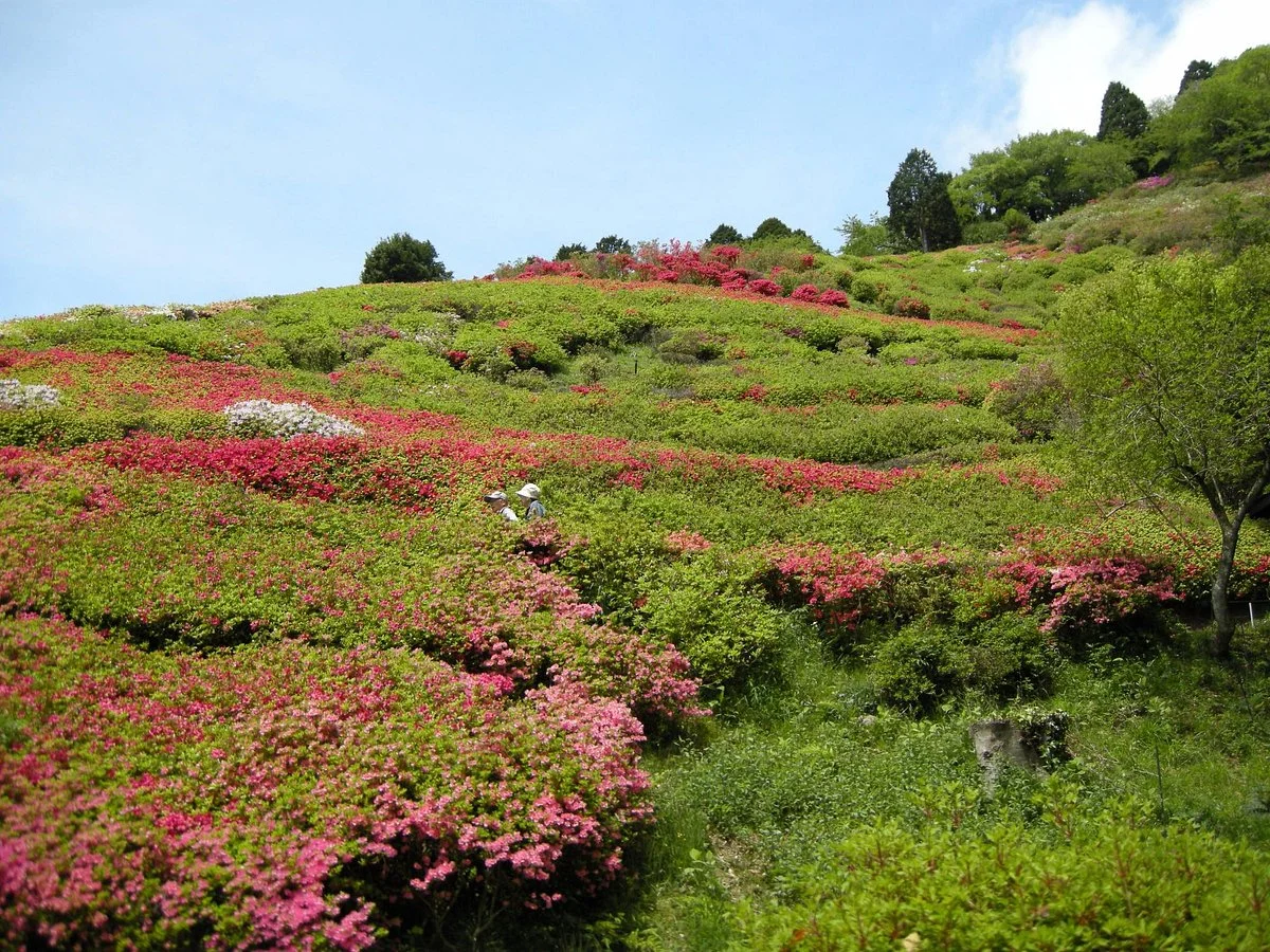 Himenosawa Park