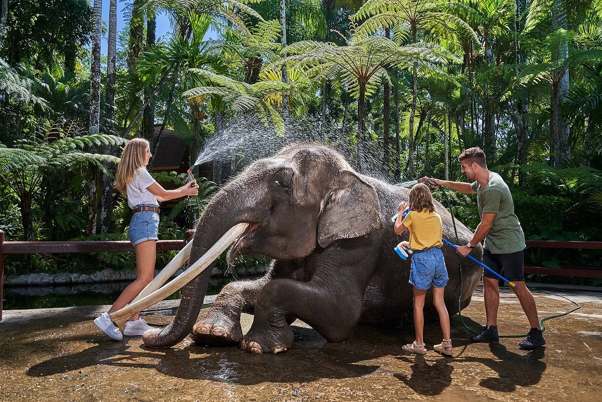 Mason Elephant Park