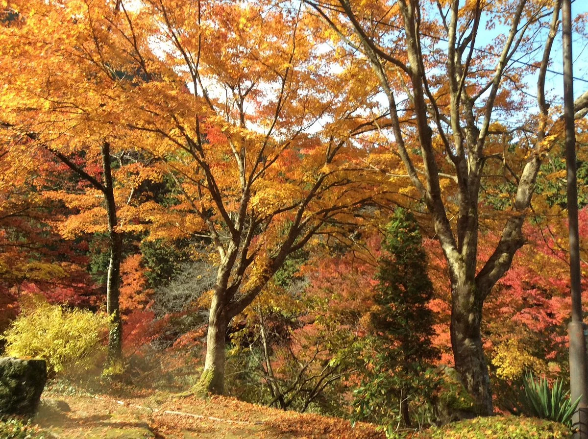 Mount Ushiro