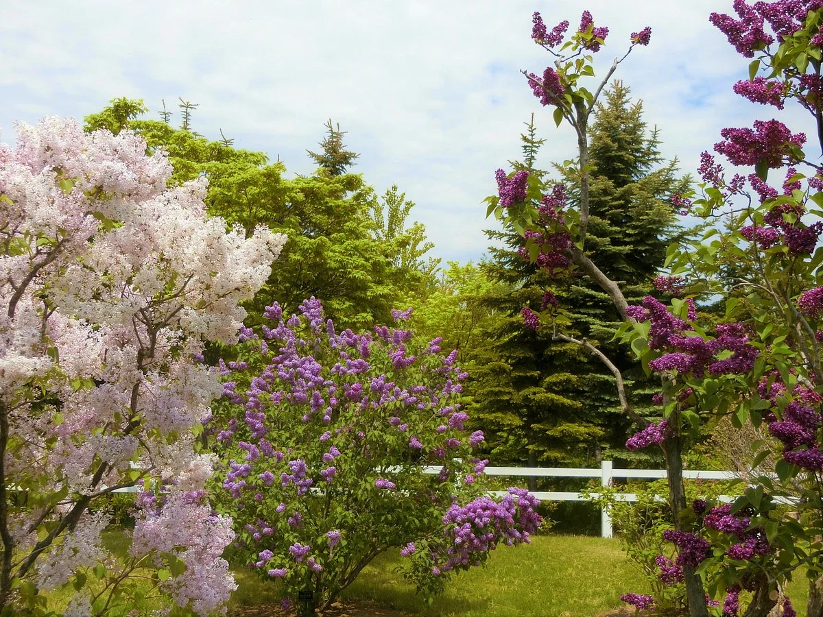 Kawashimo Park