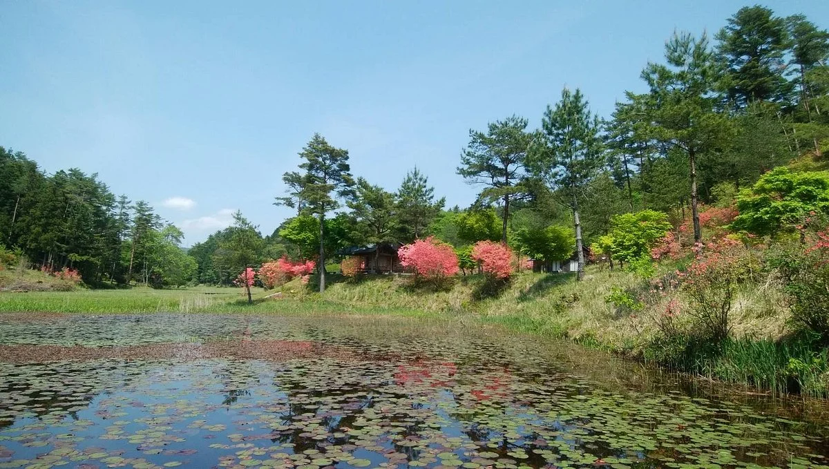 Kurozou Marshland