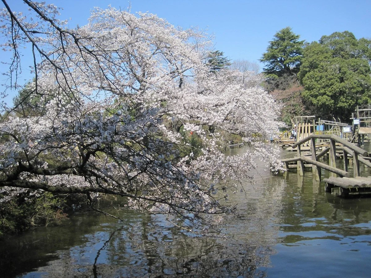Shimizu Park