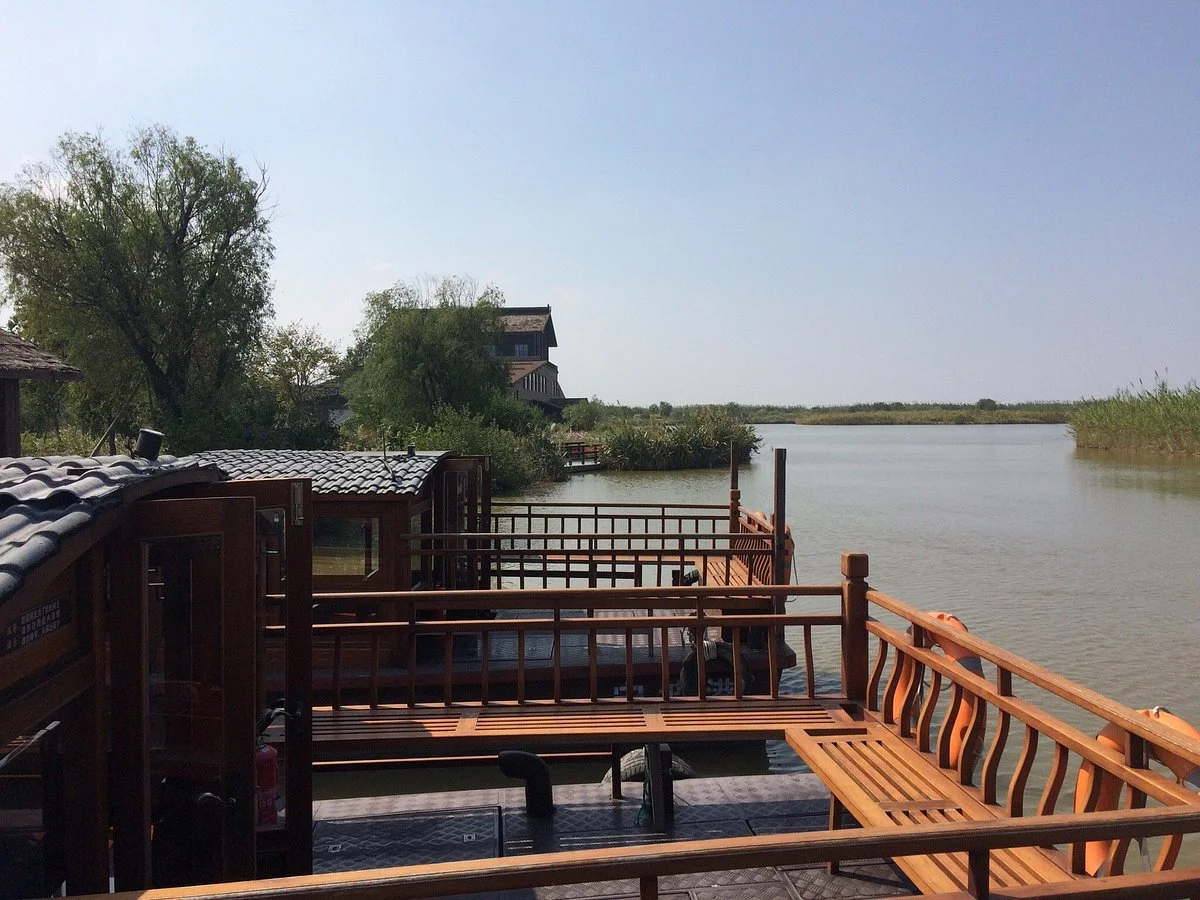 Hangzhou Bay Marsh