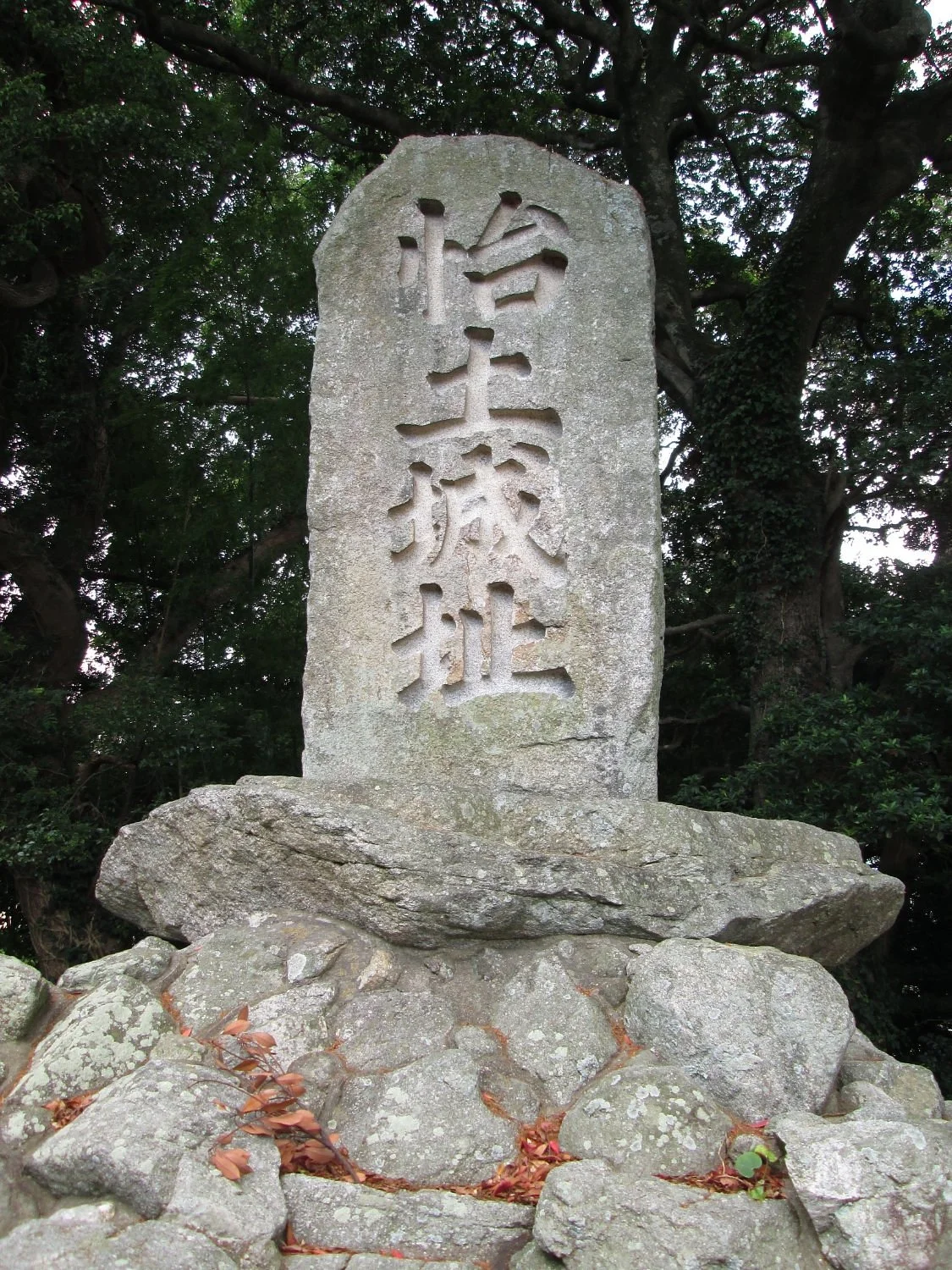 Mt. Takasu