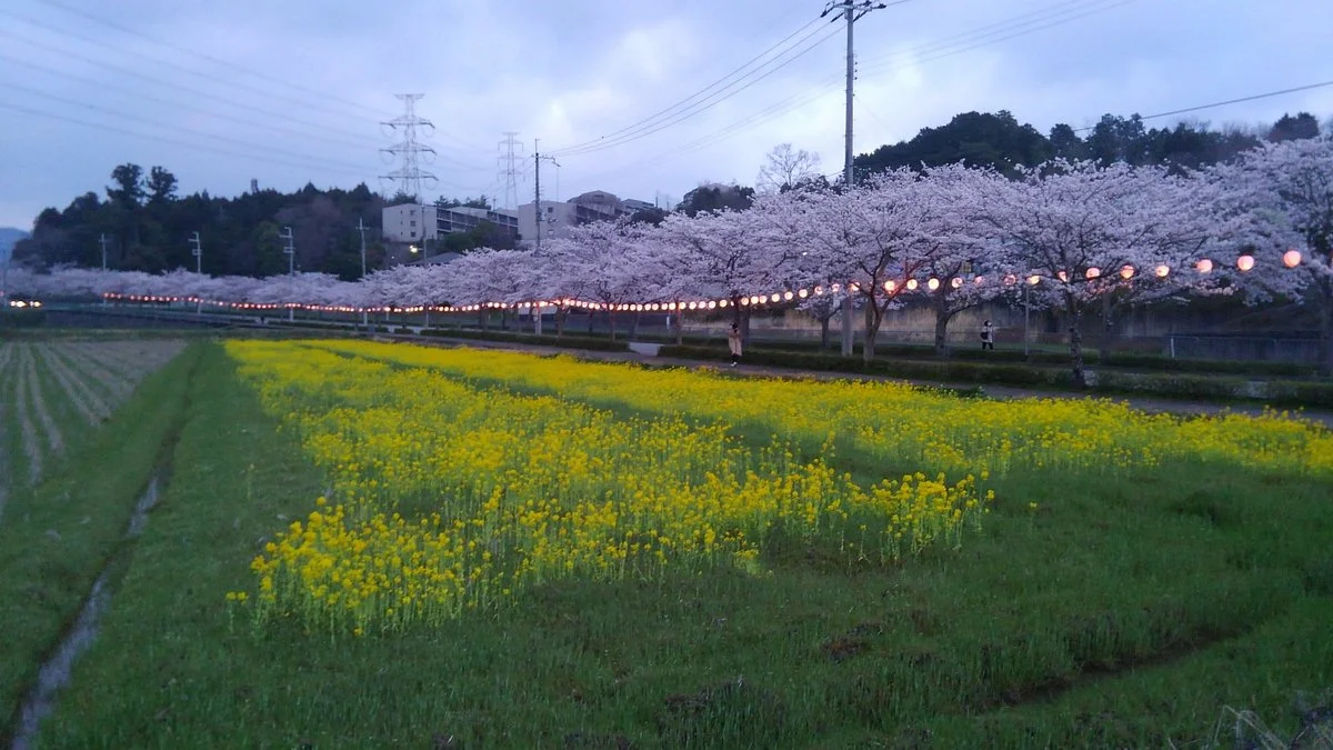 Hara Hirone Road