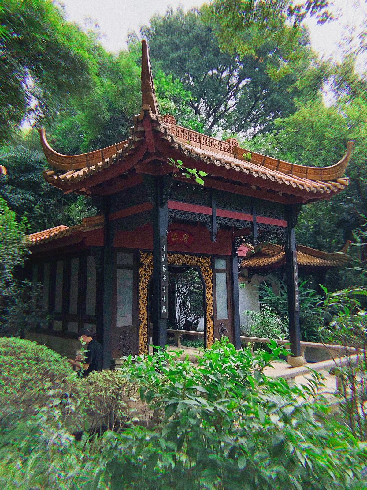 Canton Orchid Garden
