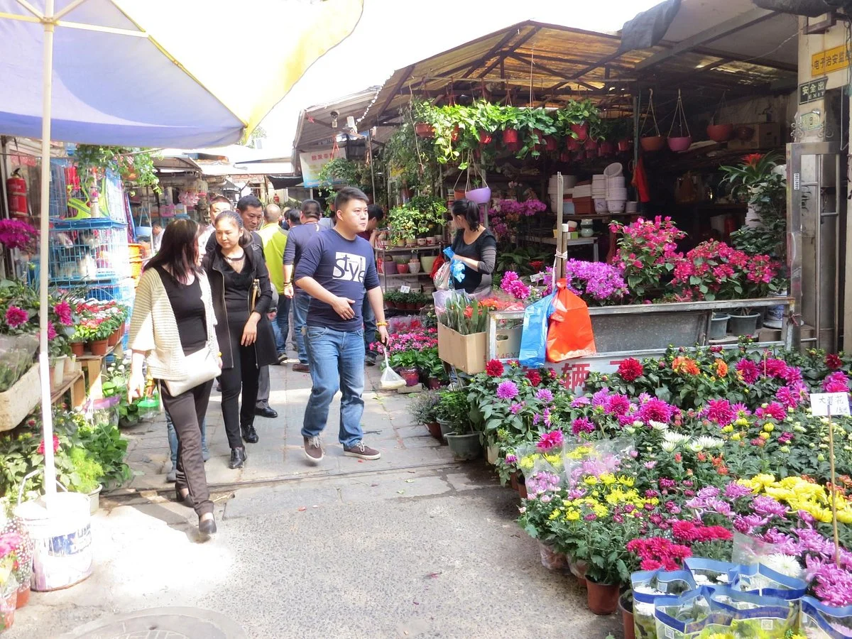 Pi Shi Street Bird and Flower Market