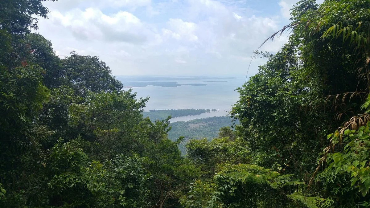 Mount Bintan