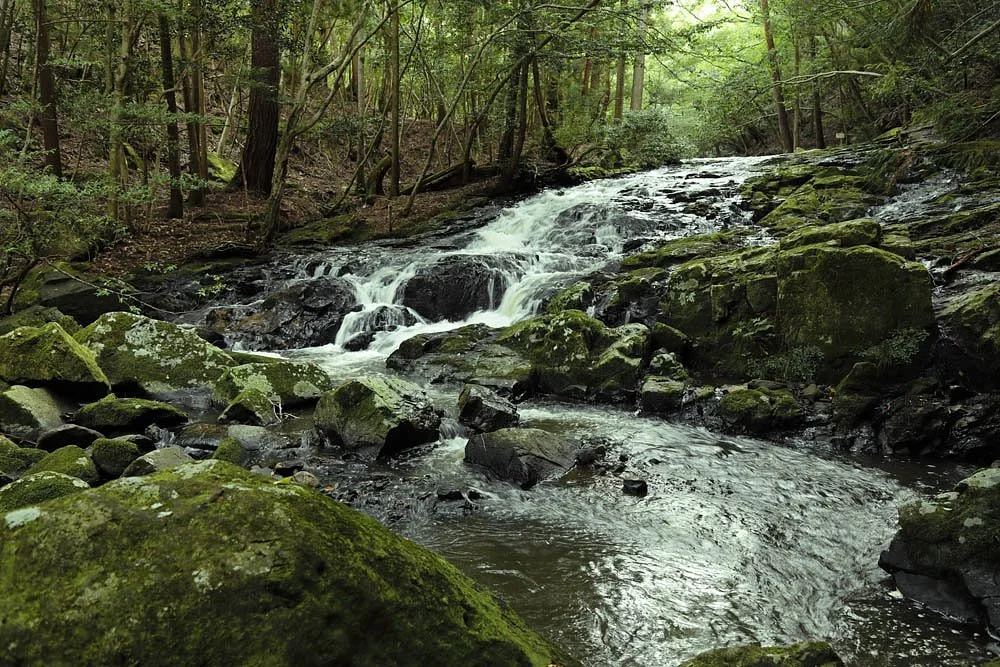 Ruri Valley