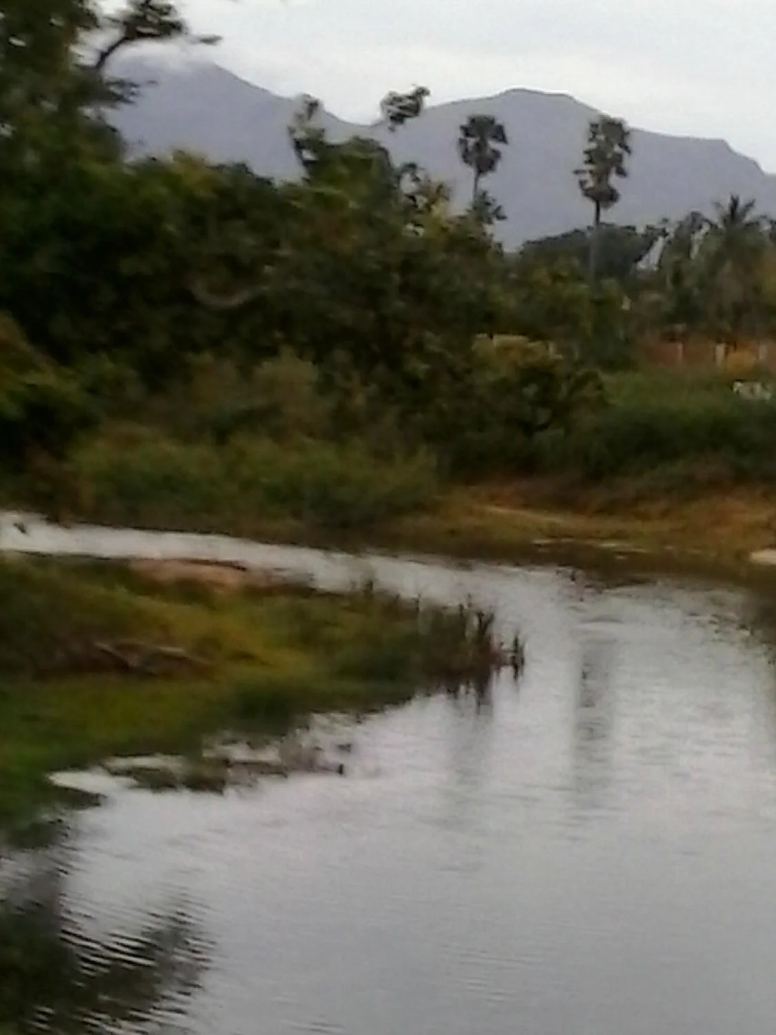 Sri Adhivaraha Perumal Temple