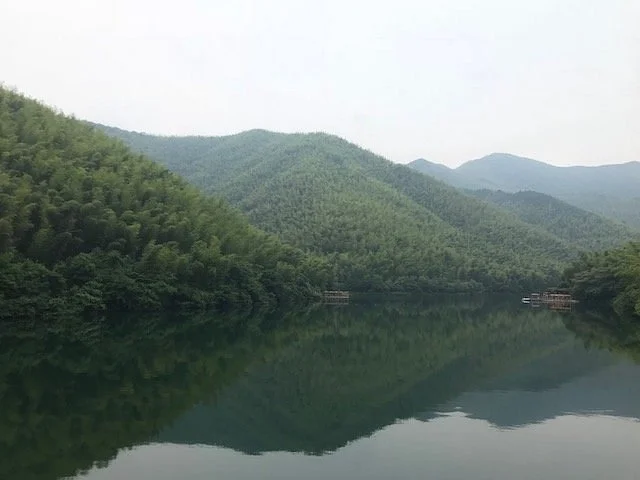 Nashan Bamboo Sea